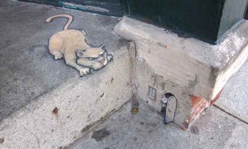 David Zinn