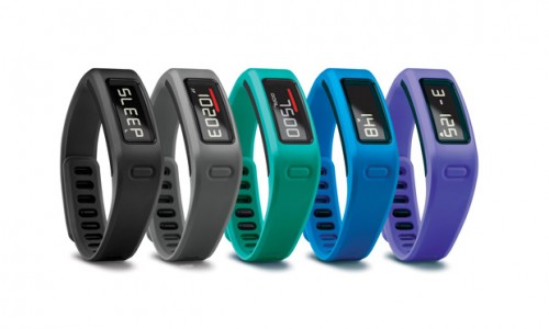 Garmin Vivofit Fitness Band