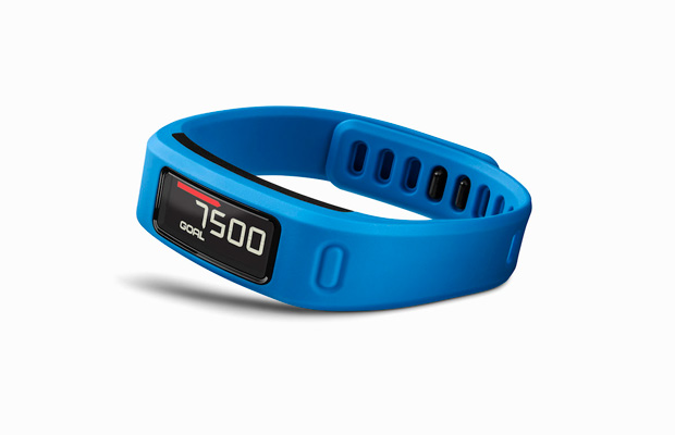 Garmin Vivofit Fitness Band