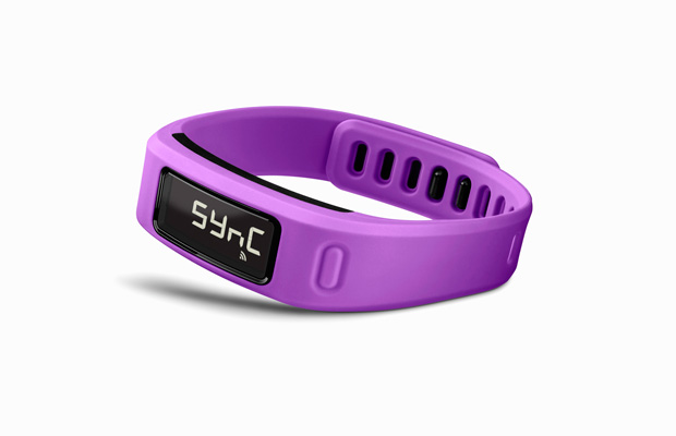 Garmin Vivofit Fitness Band