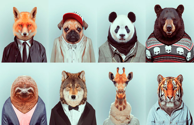 The Fashion Zoo Animals