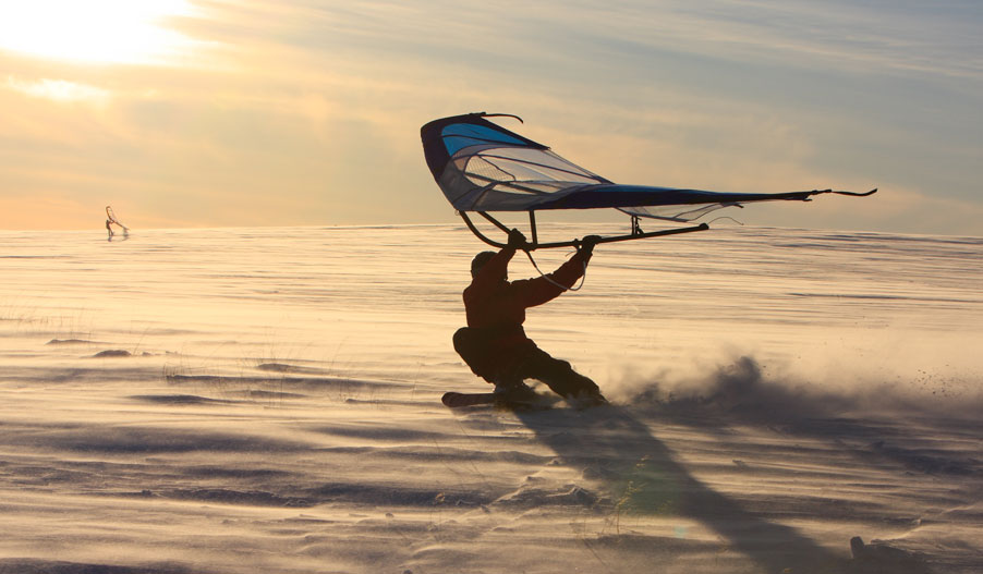 Kitewing