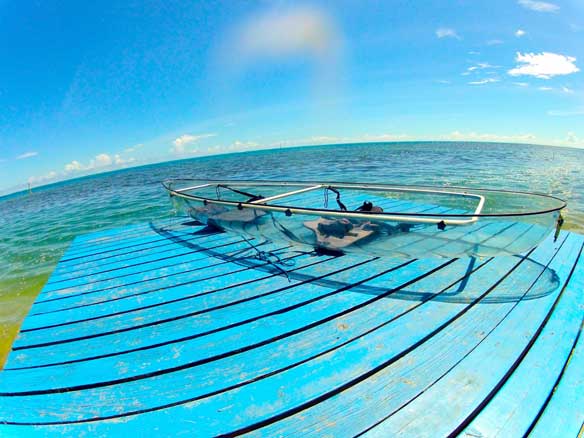 Kayak Transparente Molokini