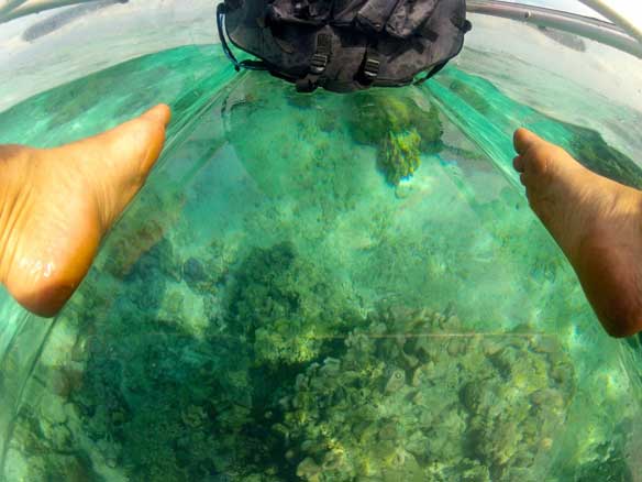 Kayak Transparente Molokini